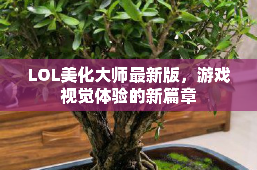 LOL美化大师最新版图片