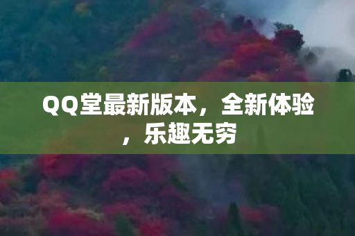 QQ堂最新版本图片