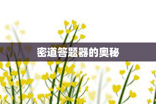 密道答题器的奥秘图片