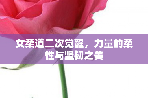 力量的柔性与坚韧之美图片