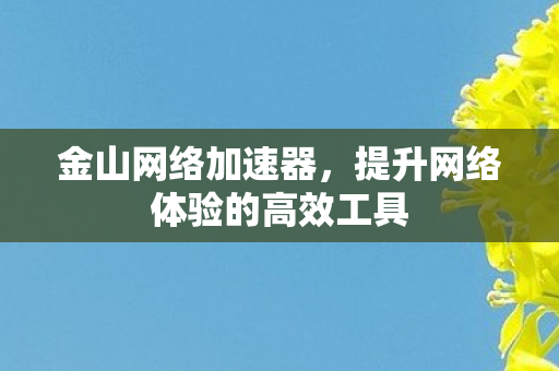 提升网络体验的高效工具图片