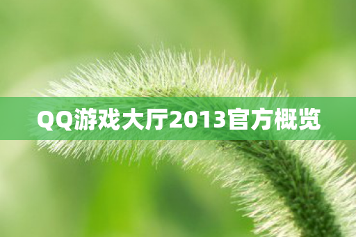 QQ游戏大厅2013官方概览图片