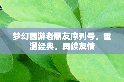 梦幻西游老朋友序列号图片