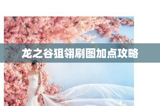 龙之谷狙翎刷图加点攻略图片