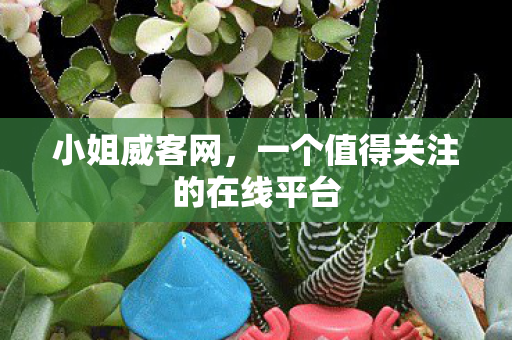 一个值得关注的在线平台图片