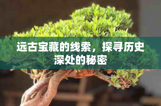 探寻历史深处的秘密图片