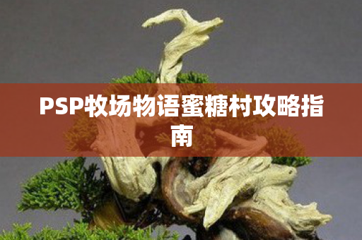 PSP牧场物语蜜糖村攻略指南图片