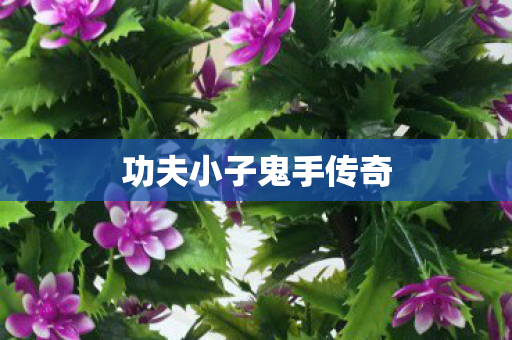 功夫小子鬼手传奇图片
