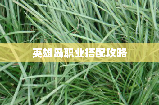 英雄岛职业搭配攻略图片