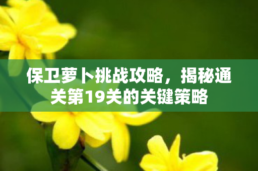 揭秘通关第19关的关键策略图片
