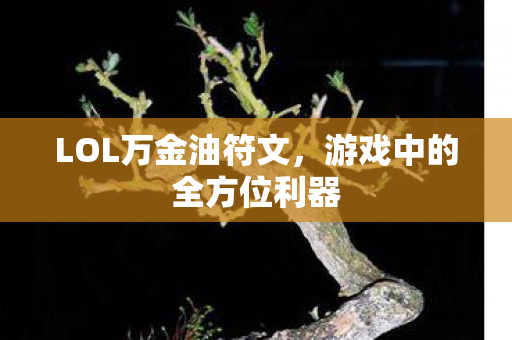 游戏中的全方位利器图片