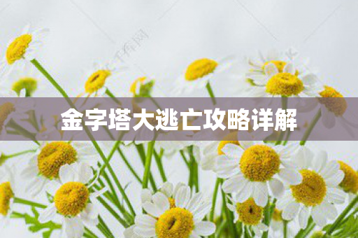 金字塔大逃亡攻略详解图片