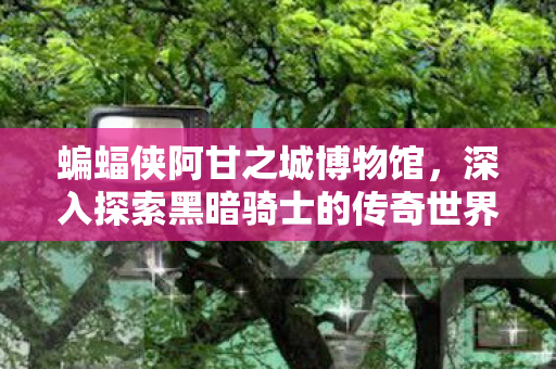 深入探索黑暗骑士的传奇世界图片