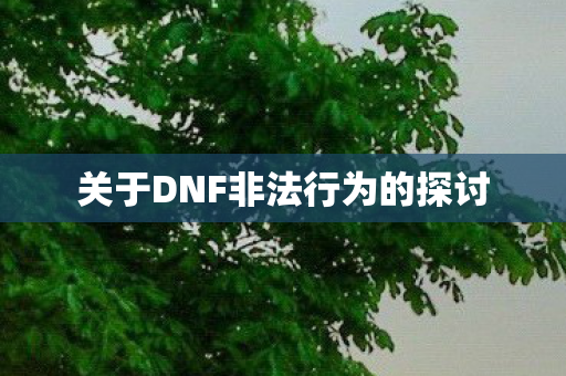 关于DNF非法行为的探讨图片