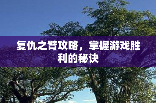 掌握游戏胜利的秘诀图片