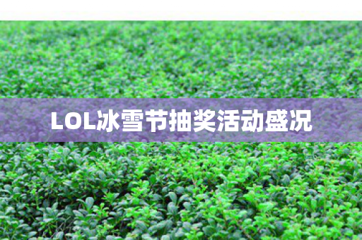 LOL冰雪节抽奖活动盛况图片
