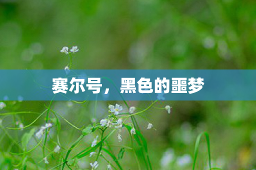 黑色的噩梦图片
