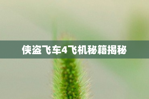 侠盗飞车4飞机秘籍揭秘图片
