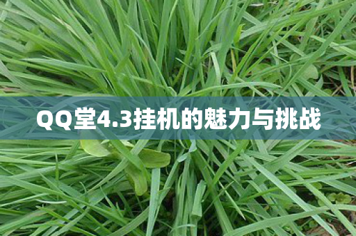 3挂机的魅力与挑战图片