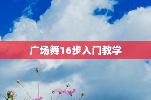 广场舞16步入门教学图片