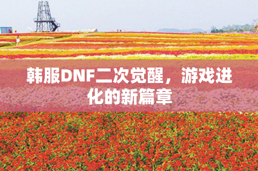 韩服DNF二次觉醒图片