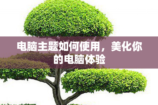 电脑主题如何使用图片