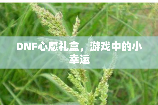DNF心愿礼盒图片