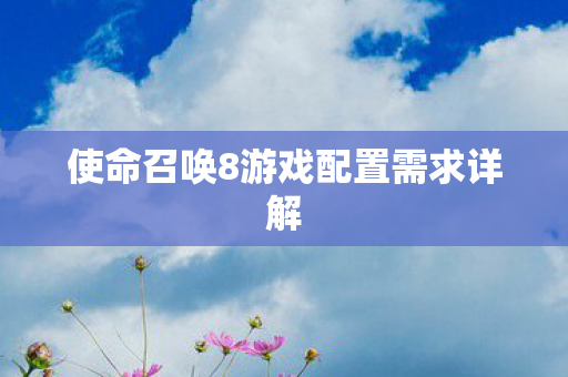 使命召唤8游戏配置需求详解图片