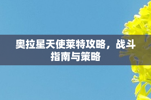 奥拉星天使莱特攻略图片