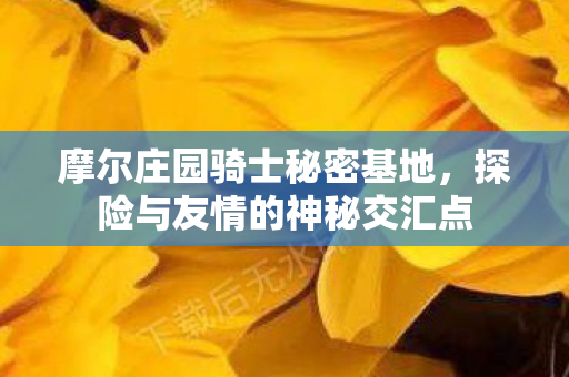 探险与友情的神秘交汇点图片