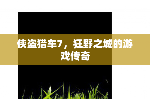 狂野之城的游戏传奇图片