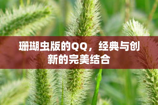 经典与创新的完美结合图片