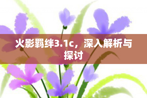 深入解析与探讨图片