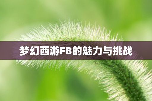 梦幻西游FB的魅力与挑战图片