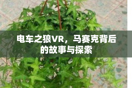 马赛克背后的故事与探索图片