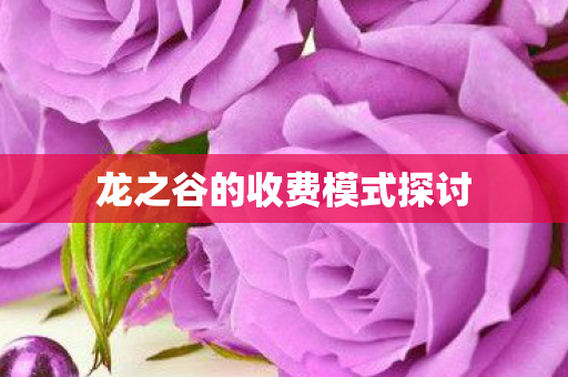 龙之谷的收费模式探讨图片