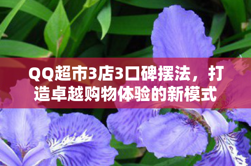 打造卓越购物体验的新模式图片
