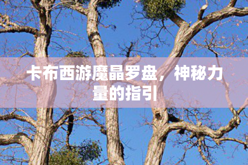 卡布西游魔晶罗盘图片