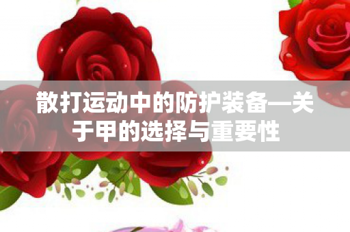 散打运动中的防护装备图片