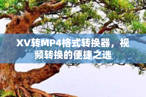 XV转MP4格式转换器图片