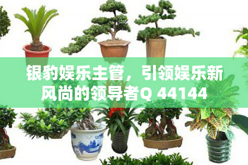 引领娱乐新风尚的领导者Q 44144图片