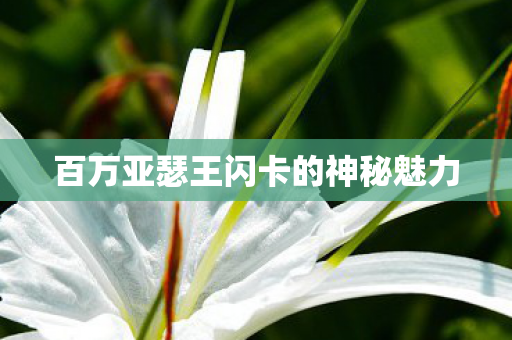 百万亚瑟王闪卡的神秘魅力图片