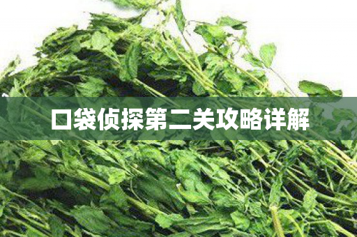 口袋侦探第二关攻略详解图片