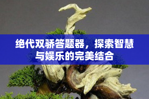 探索智慧与娱乐的完美结合图片