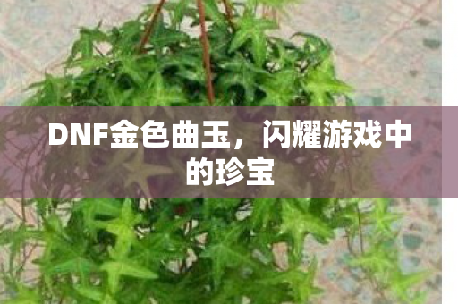 闪耀游戏中的珍宝图片