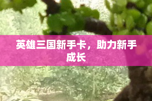 英雄三国新手卡图片