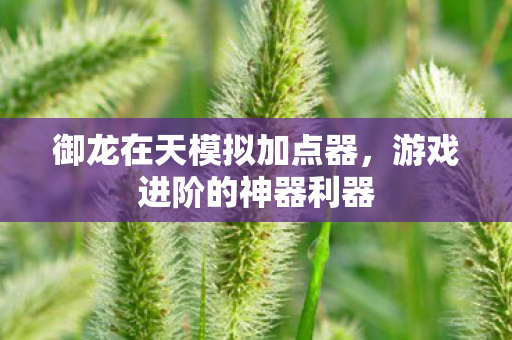御龙在天模拟加点器图片