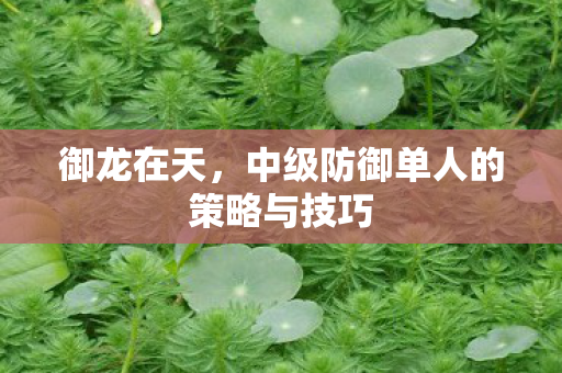中级防御单人的策略与技巧图片