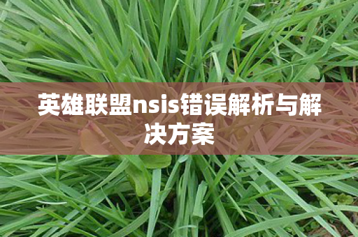 英雄联盟nsis错误解析与解决方案图片