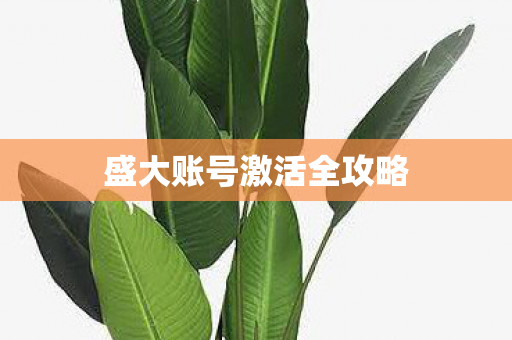 盛大账号激活全攻略图片